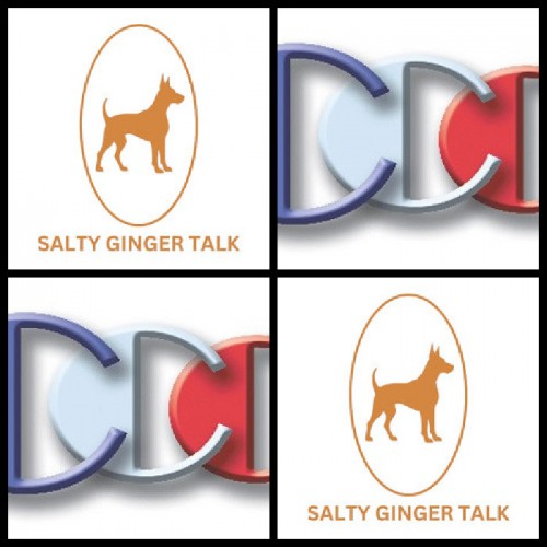 SaltyGingerTalkInterviewguestexpertRichardBlankCostaRicasCallCenter.042df.jpg