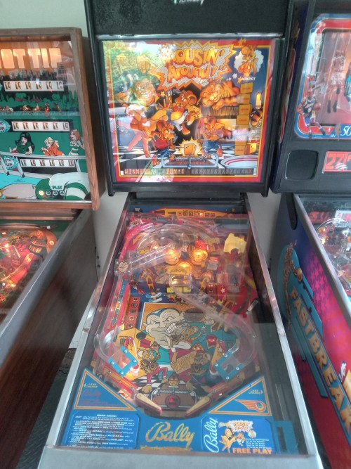 3oldschoolpinballmachines.RichardBlankCostaRicaCollection.jpg