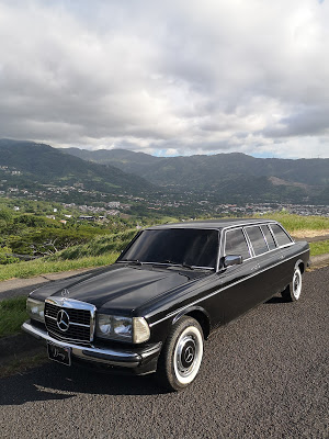 ESCAZUMANSIONMOUNTAINS.MERCEDESW123LIMO.jpg