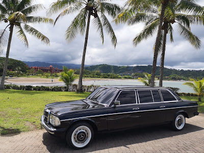 LOSSUENOSPRIVATEBEACH.COSTARICA300DW123LANGLIMOUSINE.jpg